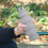 AuroraX faltbare Wasserflasche, grau, 473 ml 6