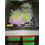 Dinosaur Wall Sticker Fluorescent Home Decor1Pack 5