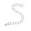 Stainless Steel Chain Extender with Lobster Clasp 20 pcs 6