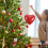 Clear Plastic Fillable Ornament Balls Heart Gift Boxes5PCS 6
