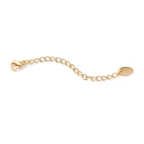 Stainless Steel Chain Extender Set with Lobster Clasp 6 pcs 1