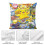 Pokemon plush pillow case ultra-comfortable multisize 5