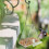Harupink hanging bird feeder with suction cup and clear 5