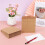 Brown Kraft Paper CD Envelopes 100 pcs 4