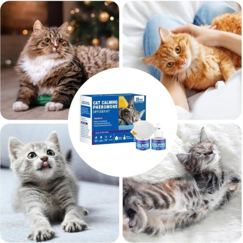 ULISEM Kattenferomoon Diffuser - 48 ml - Vermindert stress - Bevordert ontspanning