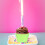 Cupcake Liner St Patrick's Day 1000 pcs 3