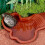 Turtle Pool – NOBRAND – Modell A – Robustes Material – Leiterdesign – Einfache Montage 2