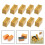 Ρελέ ισχύος Mosiee DC12V8 ακίδων για PCB10pack 7