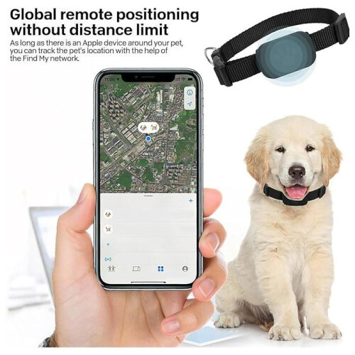 Κολάρο εντοπισμού GPS για γάτες, συμβατό με iOS/Android – Μαύρο, δεν απαιτείται 2