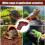 Turtle Pool – NOBRAND – Modell A – Robustes Material – Leiterdesign – Einfache Montage 4