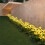 Solar-Sonnenblumen-Gartenleuchte 5