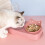 Cat Gravity Water Bowl Automatic Tilted Raised 5