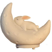 Moon Cute Tooth Rabbit Pat Light Radio Card Speaker Colorful Light Cute Sleep Home Bedroom Bedside Table Lamp