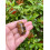 Χρυσές πέτρες Tiger Eye Tumbled 0,85-1,5 ίντσες 5