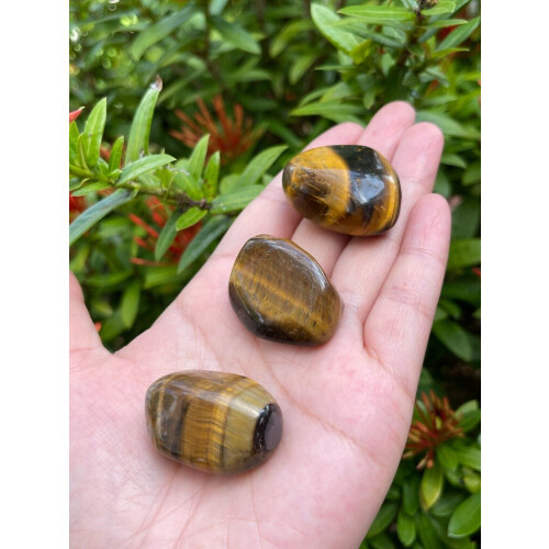 Χρυσές πέτρες Tiger Eye Tumbled 0,85-1,5 ίντσες 2