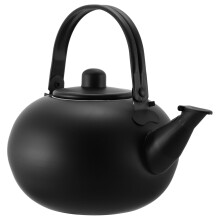 Stainless Steel Teapot for Induction and Gas Stoves