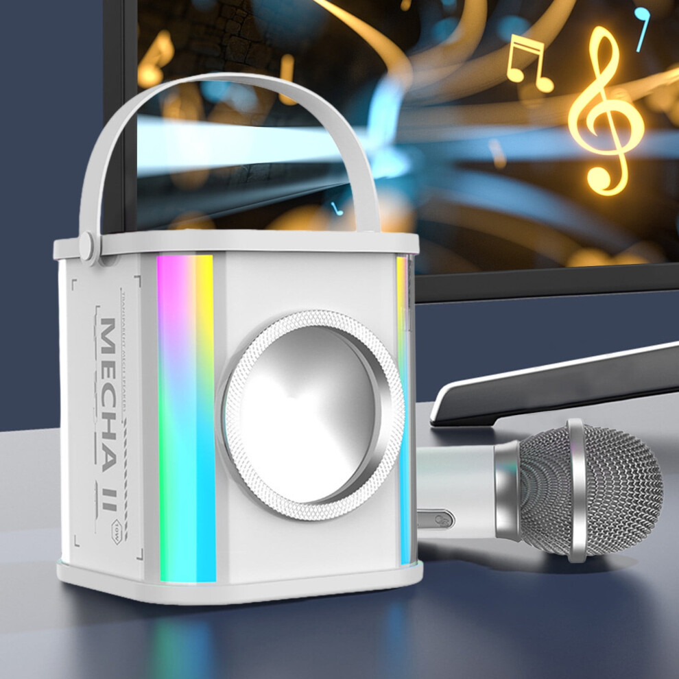 Valseel Portable Karaoke Speaker 15W Hifi Stereo With Mic Light 908436971102