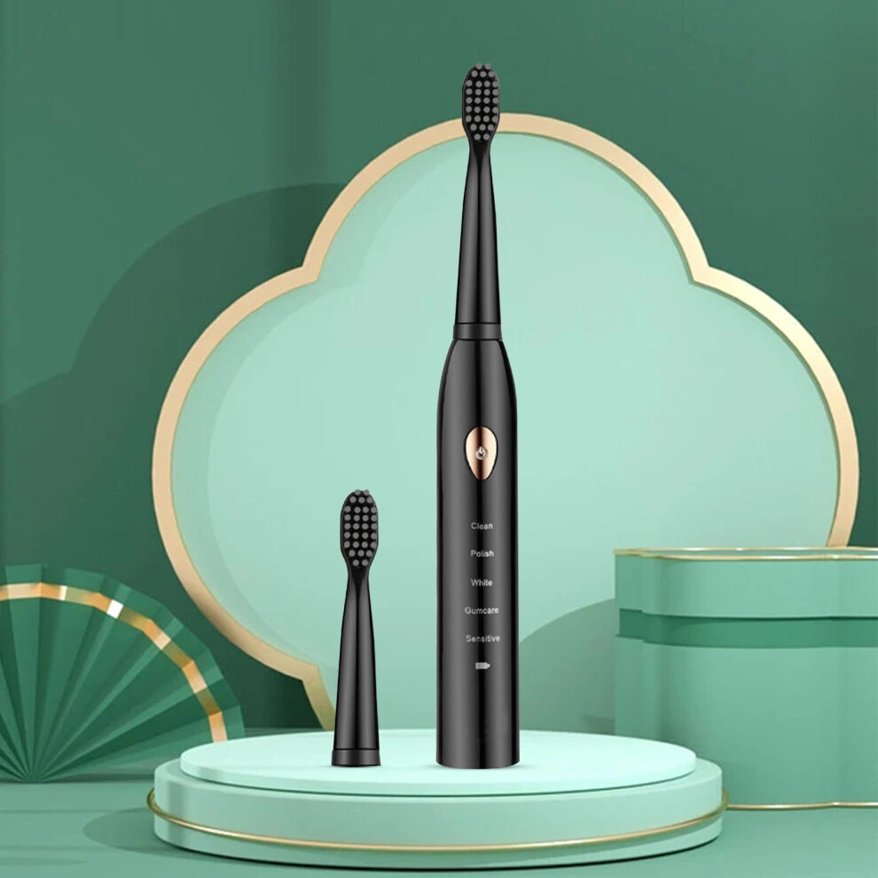lulshou Electric Toothbrush with 2 Brush Heads 5-Speed IPX7