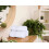 Hand Towels Combed Ring Spun600GSM16x28inches 6