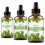 (30ML PEPPERMINT) Peppermint Essential Oil 100ml/60ml/30ml Hydrating Multifunctional Oil Aromatherapy Candle Car Diffuser 1