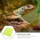 Terrarienboden für Geckos 3
