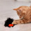 Παιχνίδι Catnip Spider για γάτες, διαδραστικό παιχνίδι χαλάρωσης 5