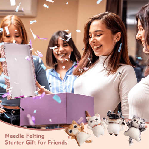Needle Felting Kit for Beginners with Instructions, 4 Pieces 2