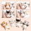 Needle Felting Kit for Beginners with Instructions, 4 Pieces 4