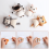 Needle Felting Kit for Beginners with Instructions, 4 Pieces 7