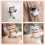 Needle Felting Kit for Beginners with Instructions, 4 Pieces 5
