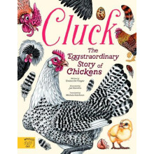 Cluck The Eggstraordinary Story of Chickens by Evelien De Vlieger Hard
