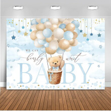 Vi kan vente, bakgrunn - rosa varm ballong, sky og bjørndesign for babyshowerfestdekor, kompatibel med jentebabyshowerfotografering
