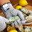 Food Grade Cut Resistant Kitchen Gloves - Size 5 5