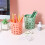 Pencil Holder Desktop Organizer Cup 4pcs Round Star 4