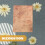 DIY scrapbook background papers set of 8 3