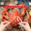 Meijiashe seafood tool set 12 pieces 8