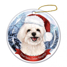 Décorations de Noël Bidobibo pour intérieur et extérieur, lot de 2 pendentifs amusants à motifs de Noël, compatibles avec sapin de Noël