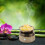 Ceramic Wax Warmer for Scents 1 unit 4
