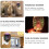 3D wax aroma diffuser glass candle fragrance warmer 4