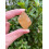 Honey Calcite Rough Natural 1-2 inch 2