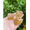 Honey Calcite Rough Natural 1-2 inch 3