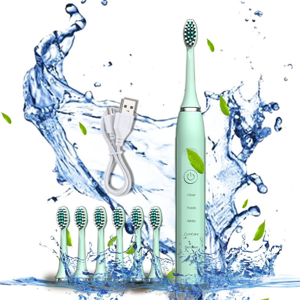 Quinlirra Electric Toothbrush with 6 Brush Heads and 5