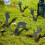 Scary Hand Stake Halloween Yard Sign 5 pcs 2