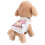 Hundebikinitrusse med printdesign til små hunde 4
