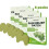 Knee Pain Relief: 50pcs Plasters with Patch & Paste for Instant Comfort 1