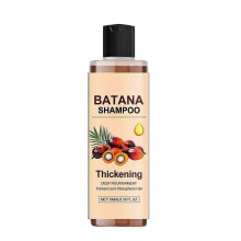 Limited time!!Amz Batana Oil Shampoo Gently Controls Oil, Hydrates And Volutes Hair, Cleanses And Softens It, And Provides Refreshing And Non-Sticky C