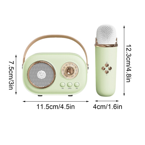Portable Karaoke Machine Bluetooth Speaker with Wireless 1