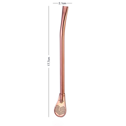 Stainless Steel Drinking Filter Straw Set of 2 2