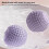 Magnetic Fascia Ball for Deep Tissue Release 1 Pack 5