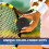 3PCS Squash Balls- Single Dot Squash ,Durable & Bounce Good for Beginner,Intermediate,Junior,Competition Training 6